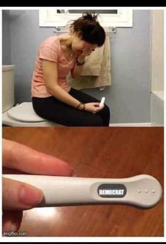 democrat