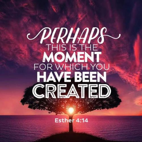 IMG_20240323_091129_265