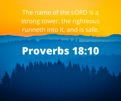 2E2024F355A97CF158A6995A01C89D4F.bible139