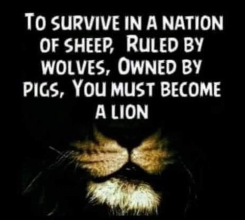Become a lion