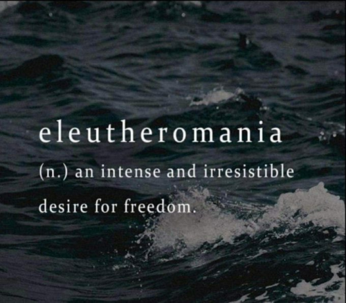 Eleutheromania, Dictionary, Free -- Word for Freedom