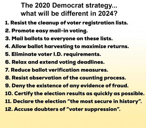 M Democrat strategy