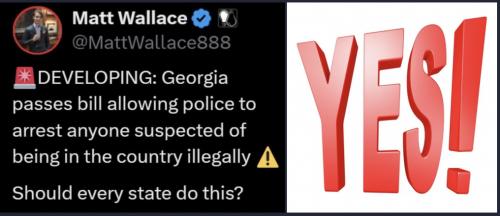 GA arrest illegals