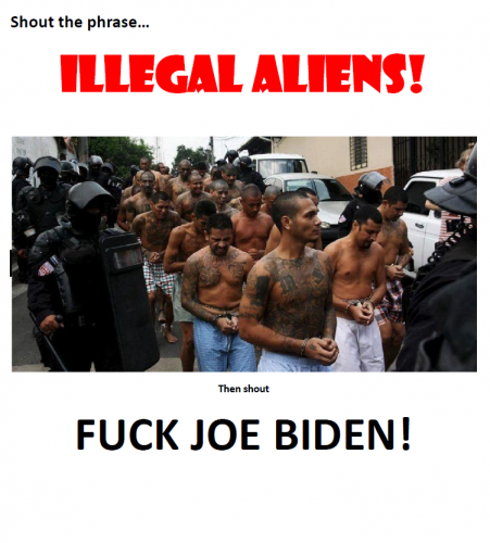 ILLEGAL ALIENS    TS
