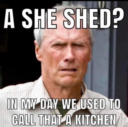 she shed