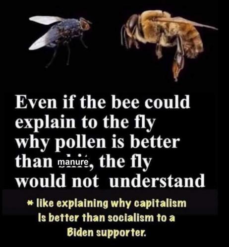 Bee