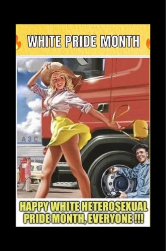 white privilege 17 - Heterosexual plus