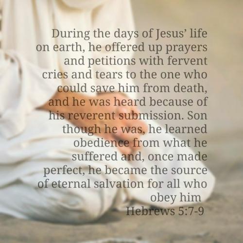 IMG_20240317_095112_625