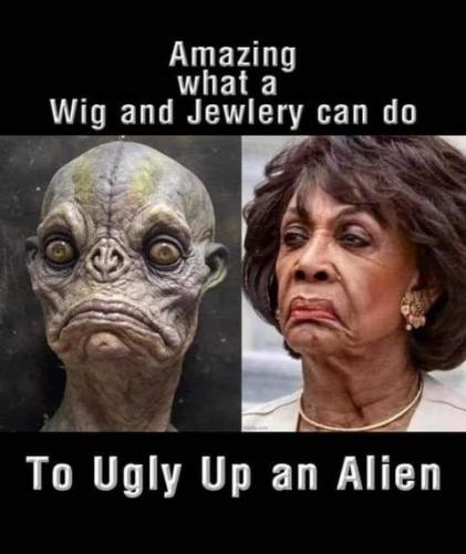UFO, Aliens, Democrat, Shit -- Ugly Face Maxine Waters2