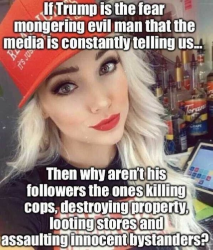 USA Trump followers