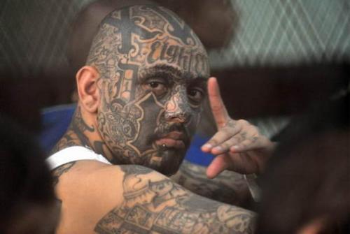 Mexican drug gangs