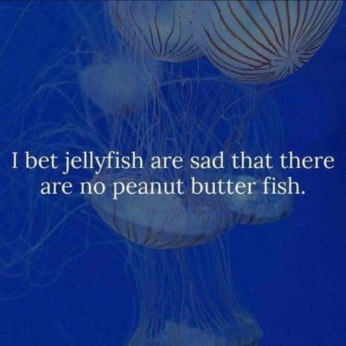 Jellyfish - No Peanut Butter fish