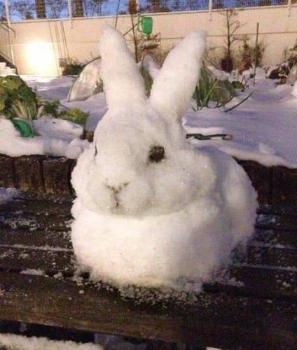 Snow-Ice Art -- Snowy Bunny