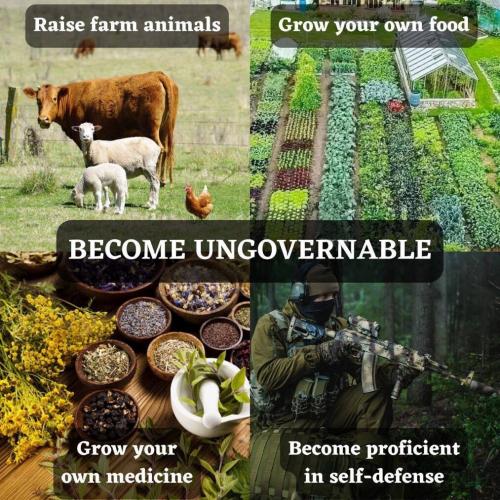 BECOME UNGOVENRABLE  TS