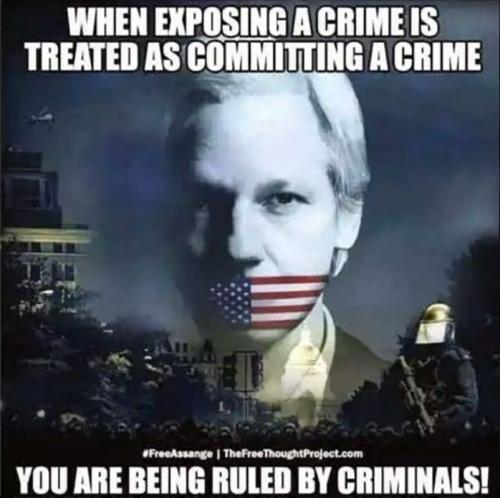 M exposing crime