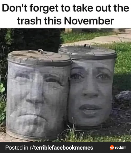RDT_20240315_1637295401771806537203110