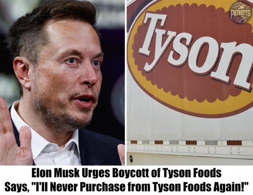 musk tyson