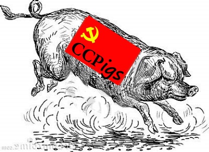 CCP PIG