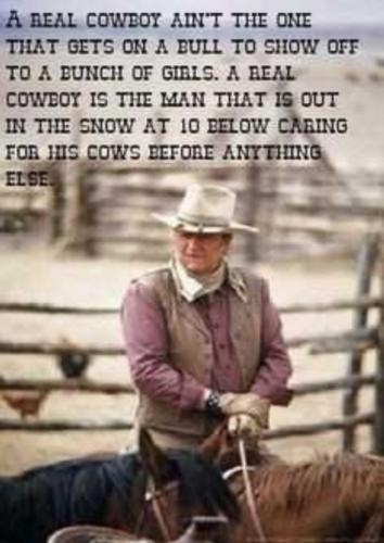 USA real cowboy