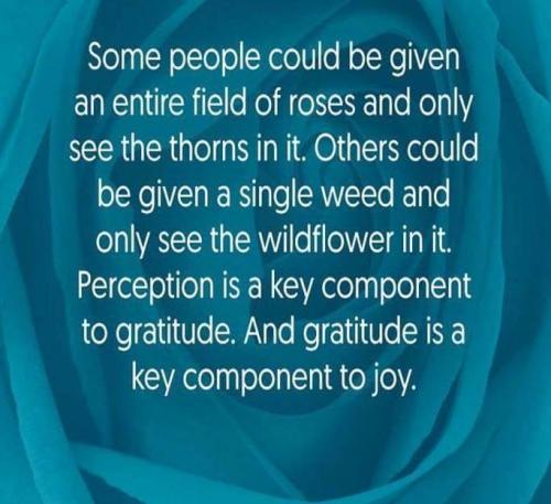 Gratitude - Joy
