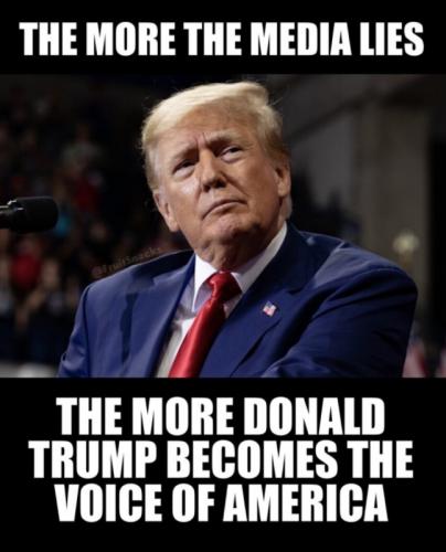 X media lies