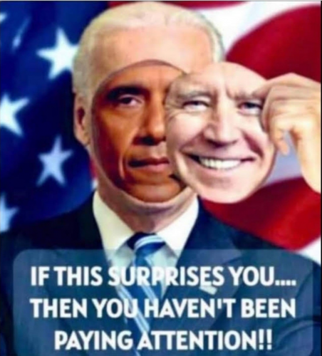 1000020210