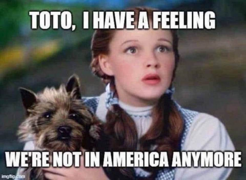 M Toto not in America