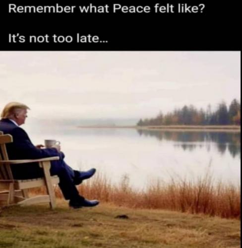 Screenshot_20240311-095540_Gallery