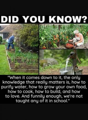 Did You Know, Health -- Grow your own food