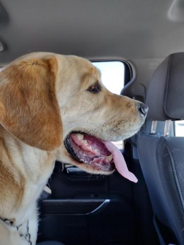 IMG_20240314_125459332_HDR