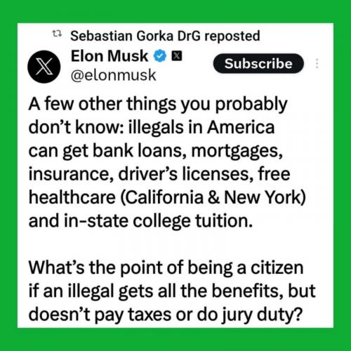 M Elon what's the point