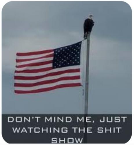 Screenshot_20240324-080025_Gallery