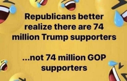 REPUBLICANS BETTER REMEMBER   TS