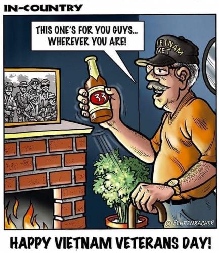 vietnam vet