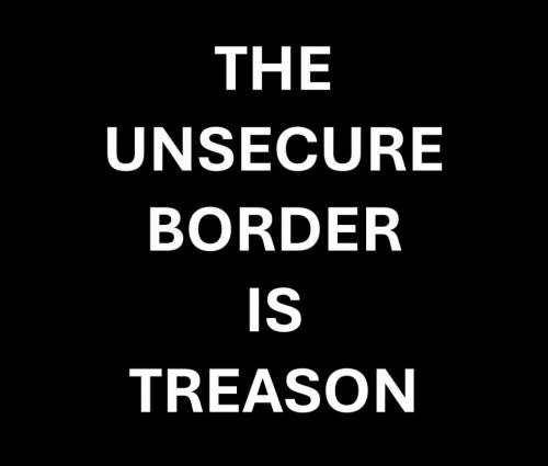 USA border treason