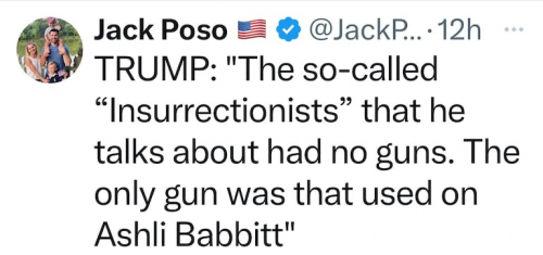 only gun