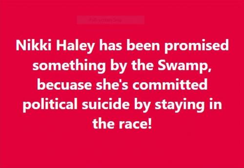 swamp