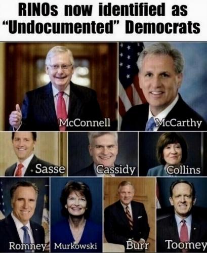 Rinos