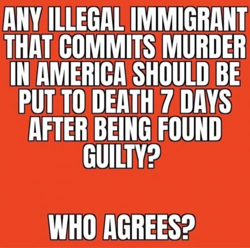 X any illegal