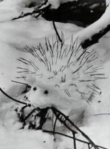 Snow-Ice Art, Snowman, Porcupine -- 'SnowPorcupine'