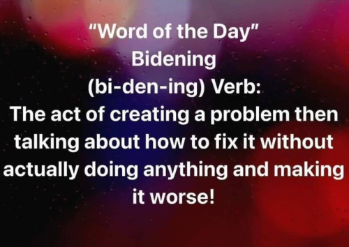 M word of the day