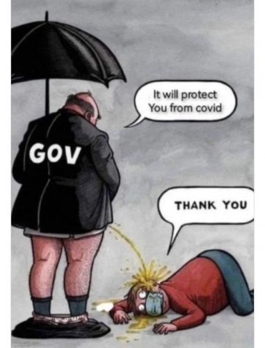 government