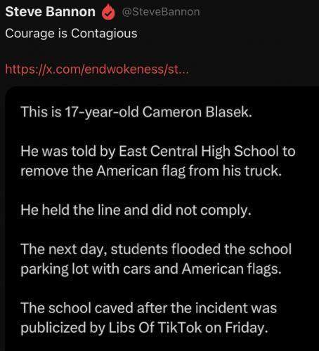 Blasek flag
