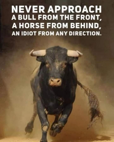 M Never Approach