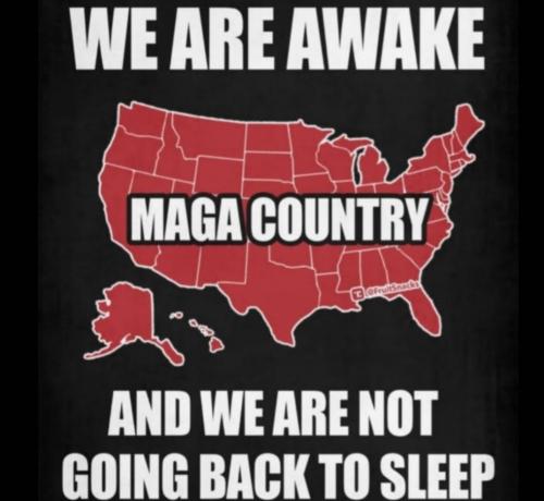 Screenshot_20240310-105503_Gallery