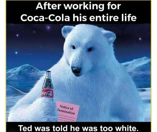 white privilege 18 - white polar bear but...