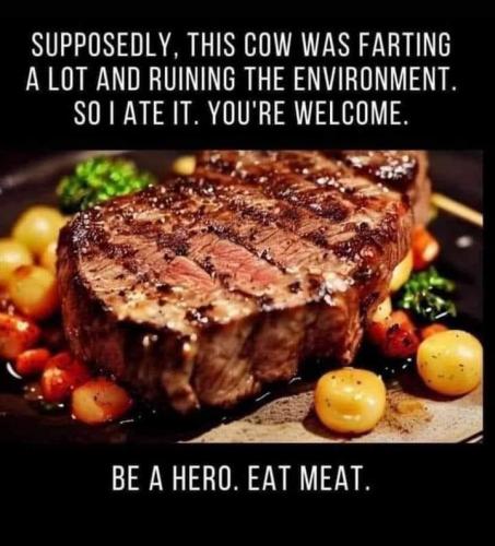 BeAHeroEatMeat