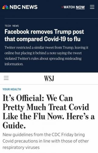 FB trump flu