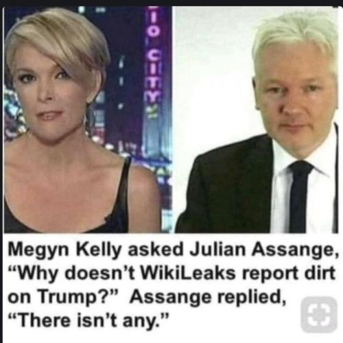 wikileak