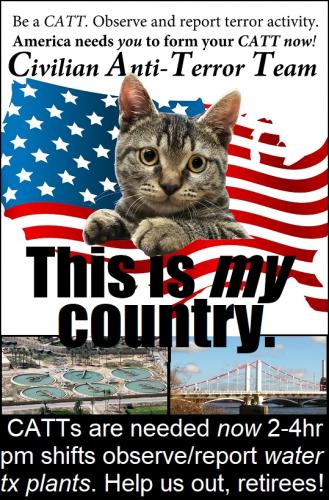 BE A CATT